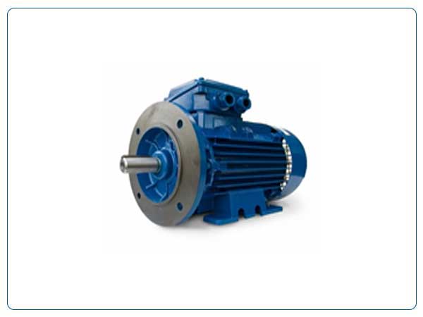 Electric Motor Manufacturers, Suppliers in India, Pune